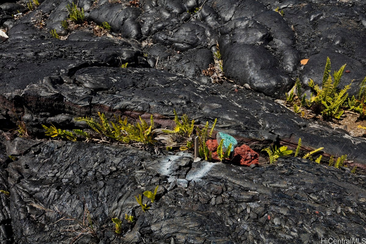 447 N/a Street Property Photo 21