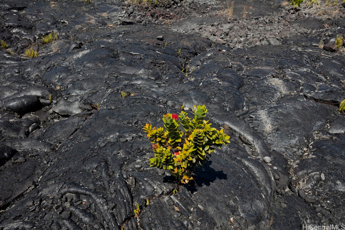 447 N/a Street Property Photo 22