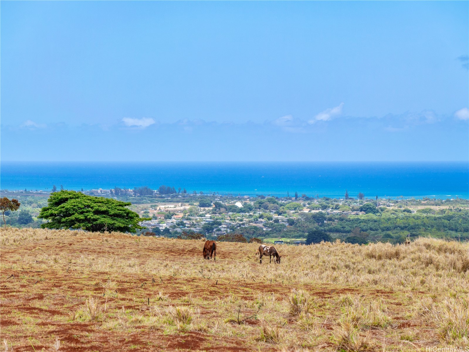 65-283 Kaukonahua Road 22 Property Photo 12