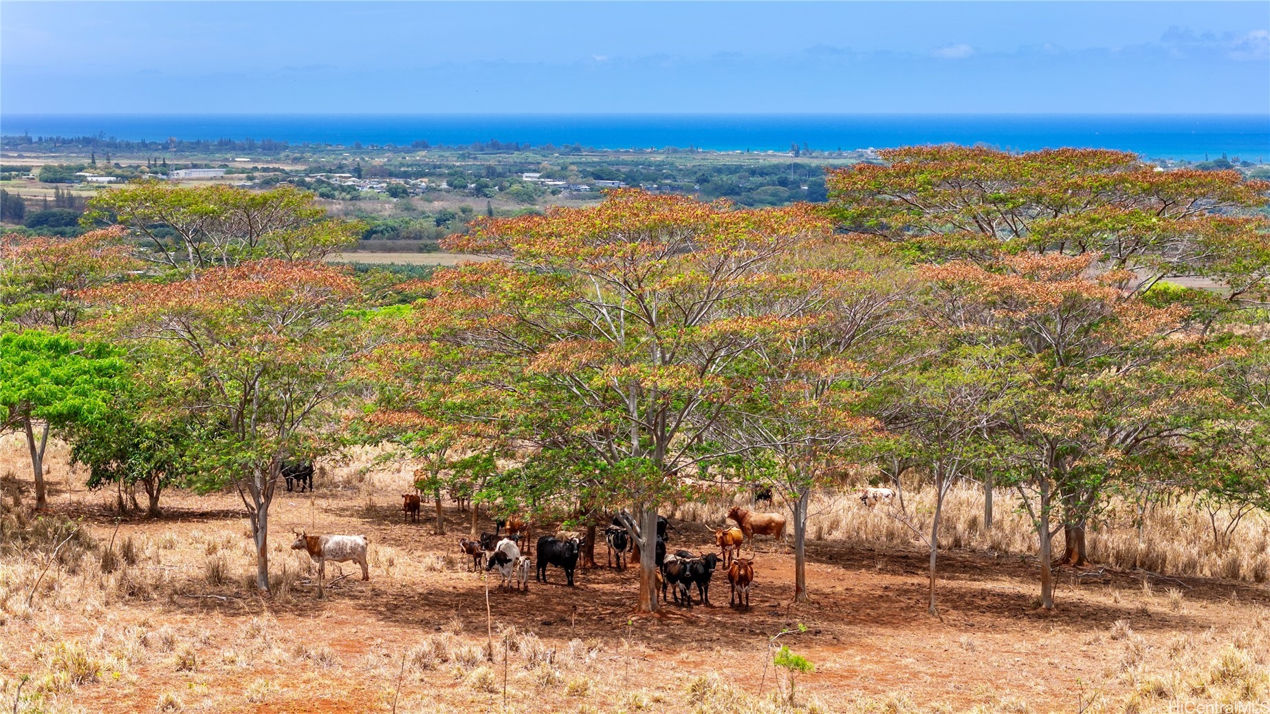 65-283 Kaukonahua Road 22 Property Photo 17