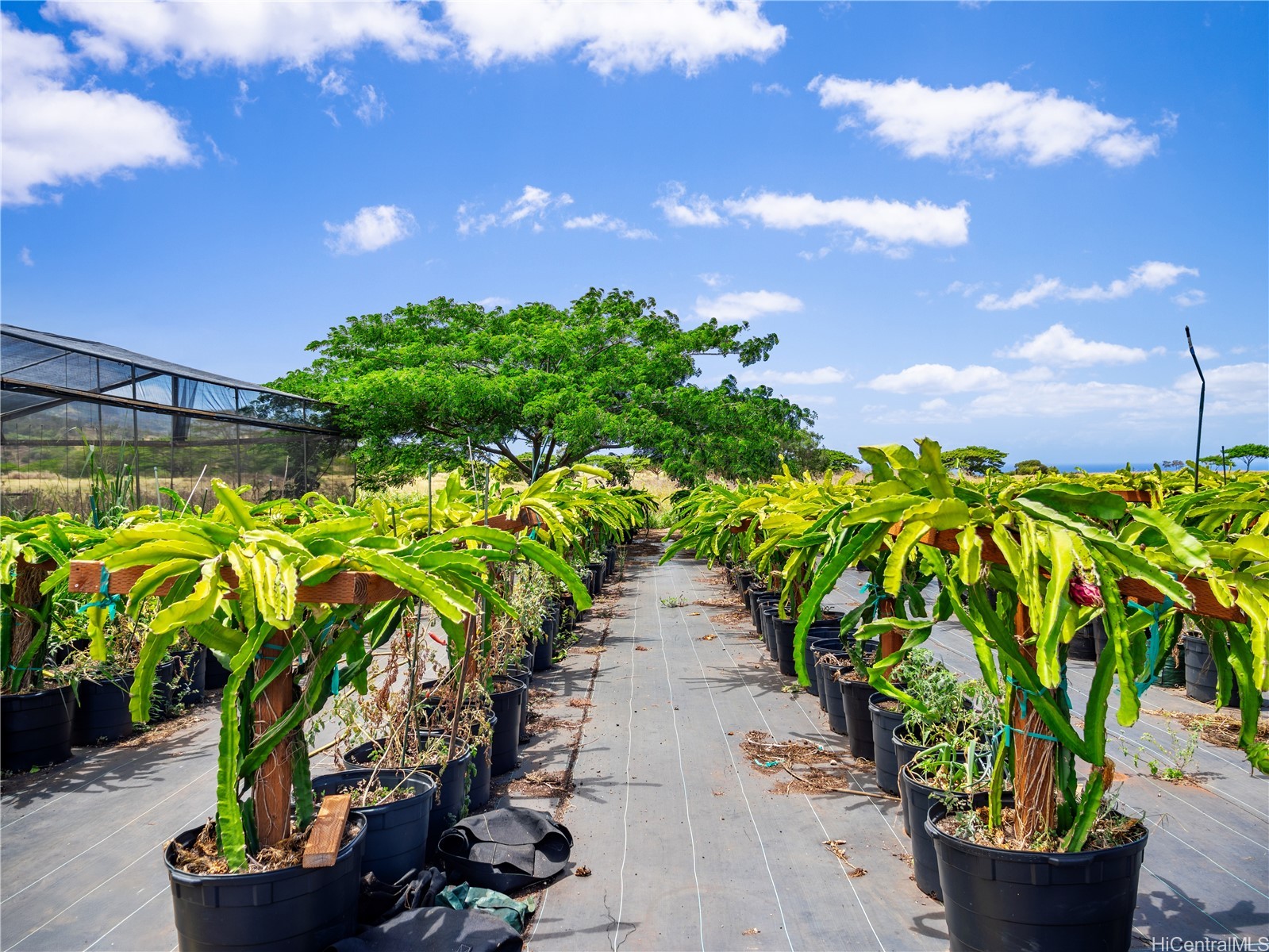 65-283 Kaukonahua Road 25 Property Photo 16