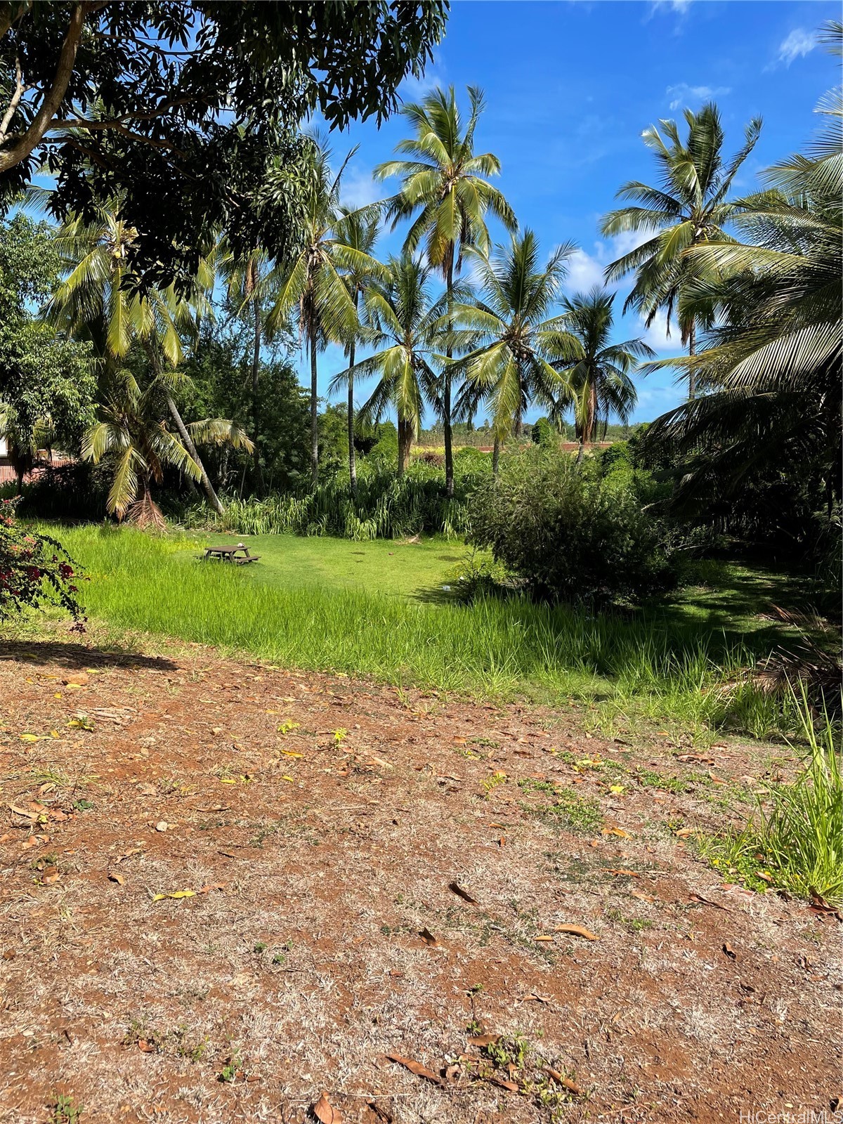 66-346 Paalaa Road Property Photo 12