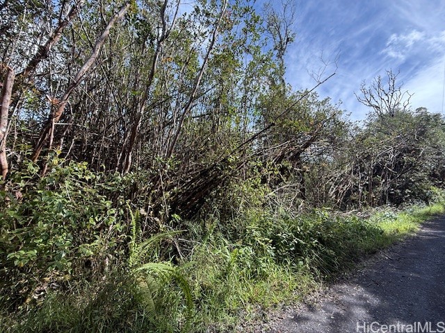 17-3352 Maunalani Road Property Photo 6