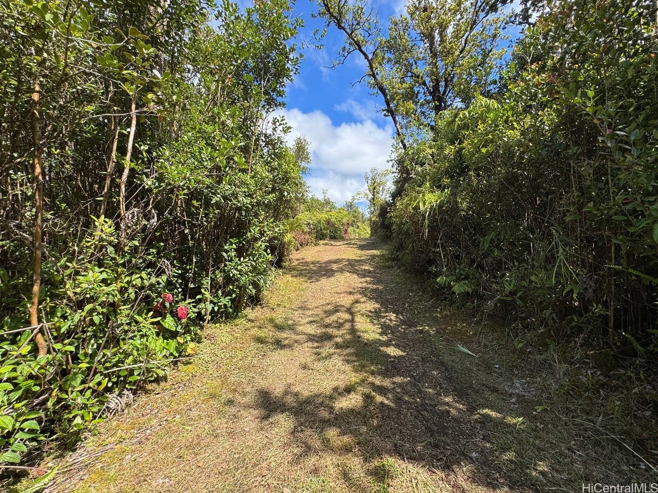 11-1785 Punahele Avenue Property Photo 8