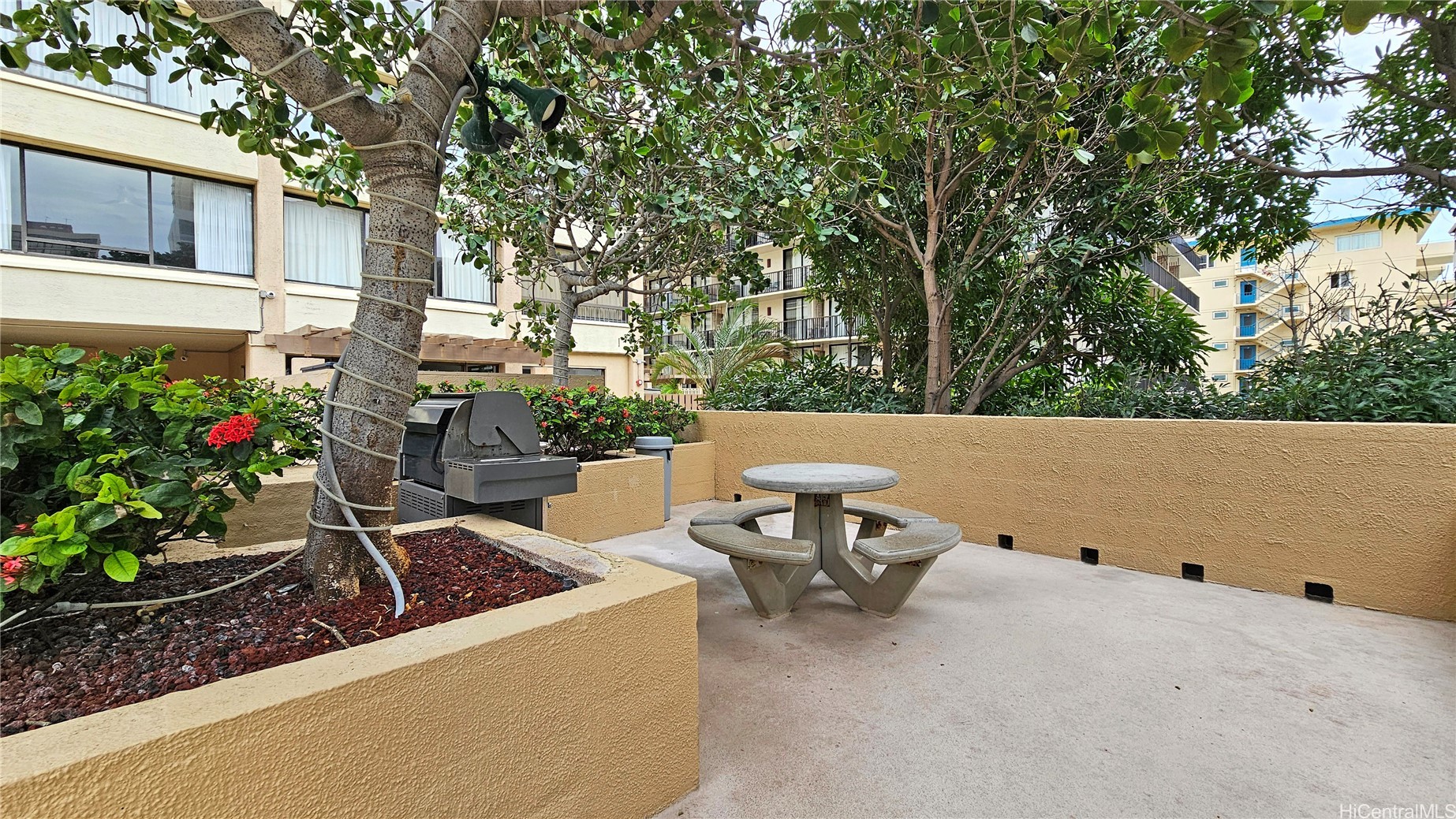 2215 Aloha Drive Dh405 Property Photo 15