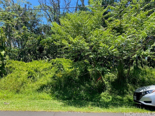 S Puni Lapa Loop Property Photo 1