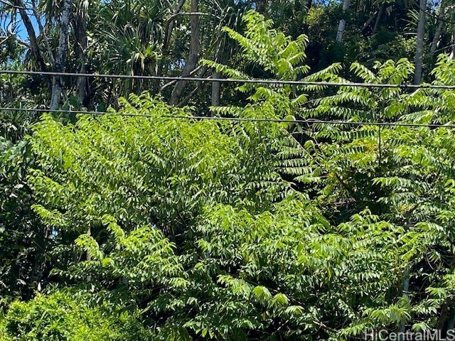 S Puni Lapa Loop Property Photo 3