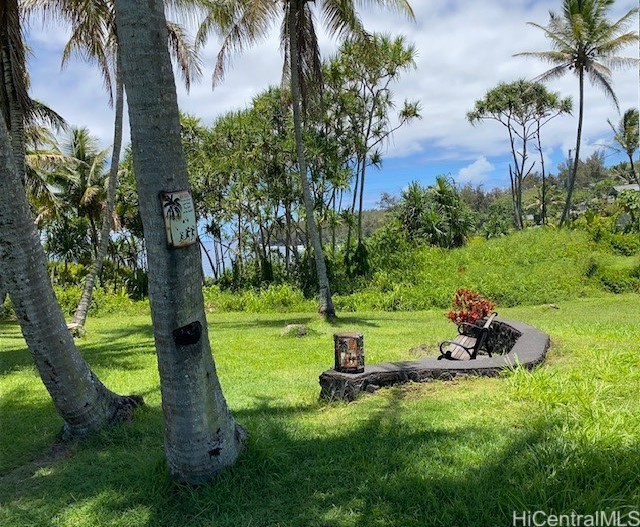 S Puni Lapa Loop Property Photo 6