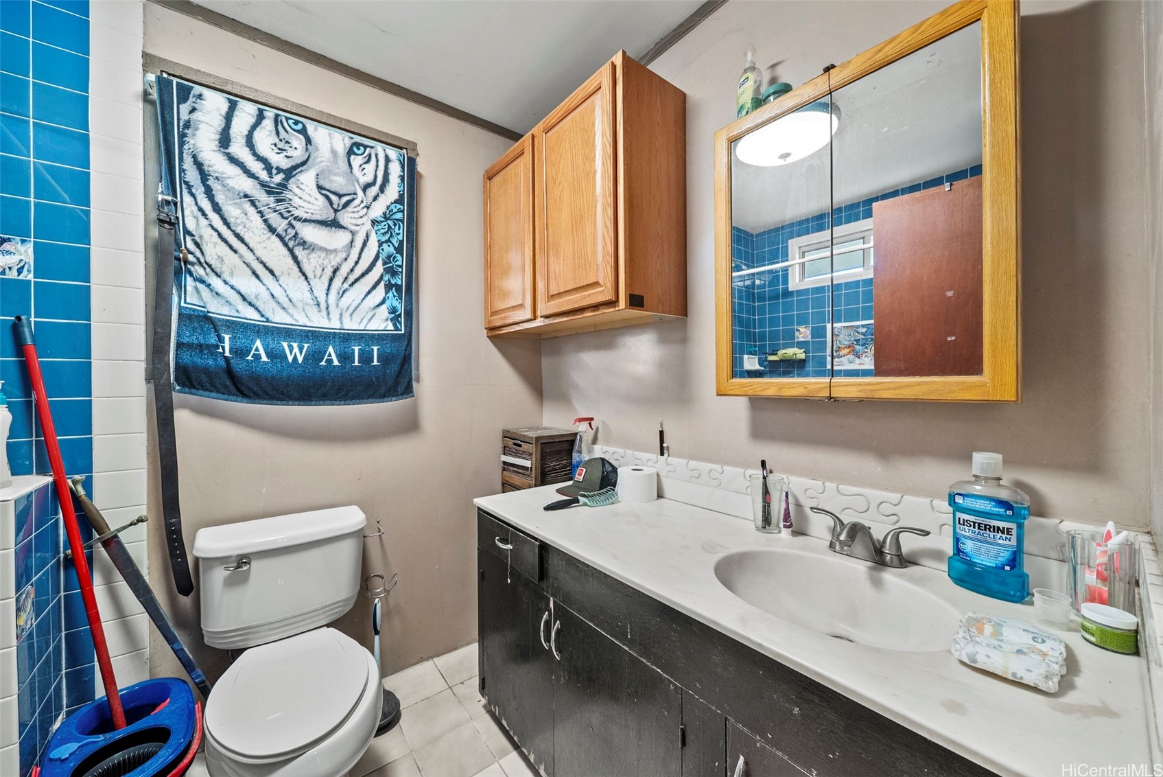 87-879 Apuupuu Road Property Photo 17
