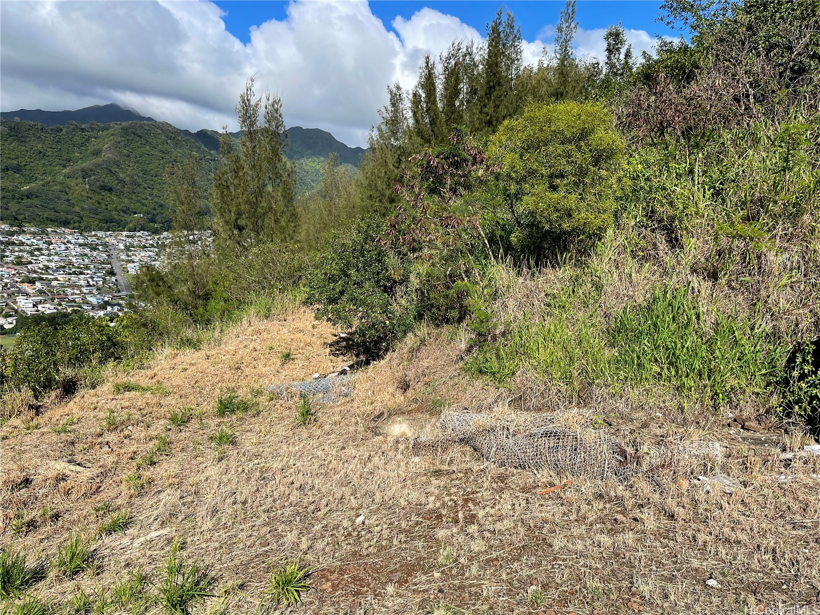 4730 Halehoola Place Property Photo 1