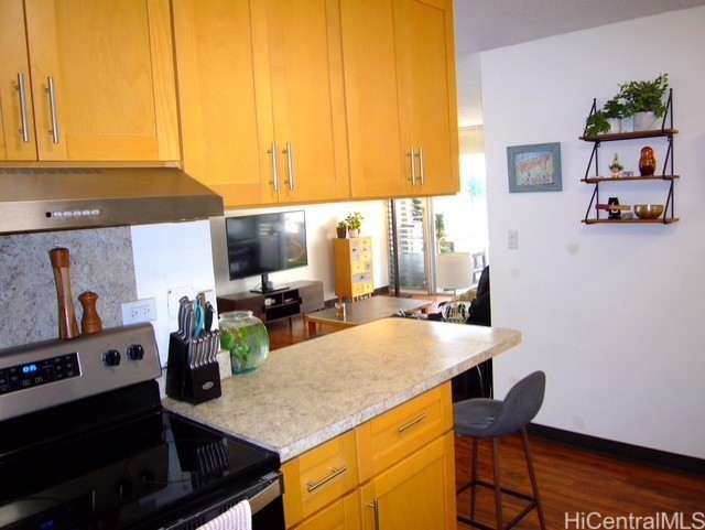 2533 Ala Wai Boulevard 601 Property Photo 10