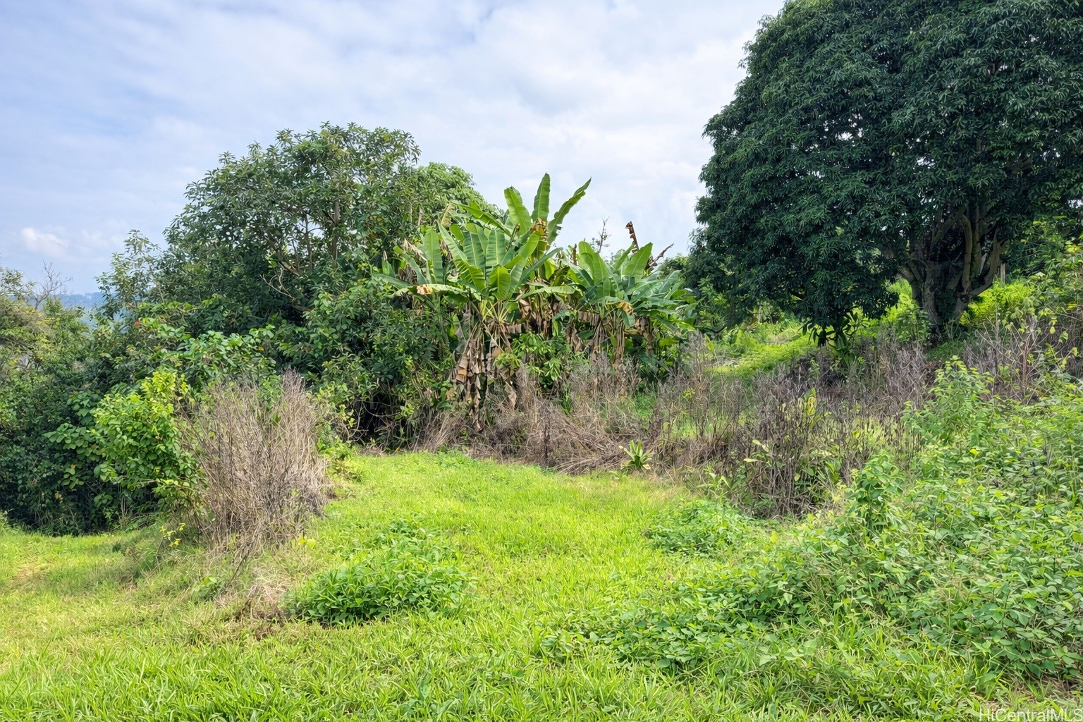 84-5186 Mamalahoa Highway Property Photo 24