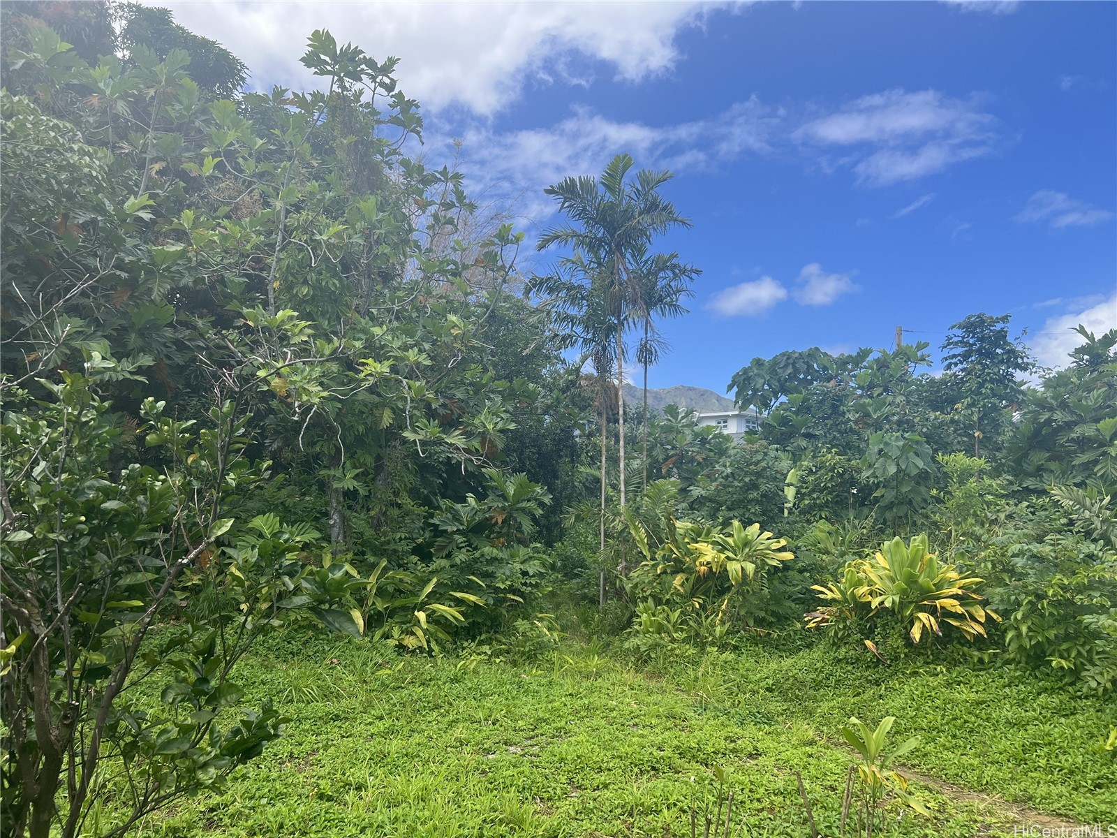 47-427 Ahuimanu Place Property Photo 4