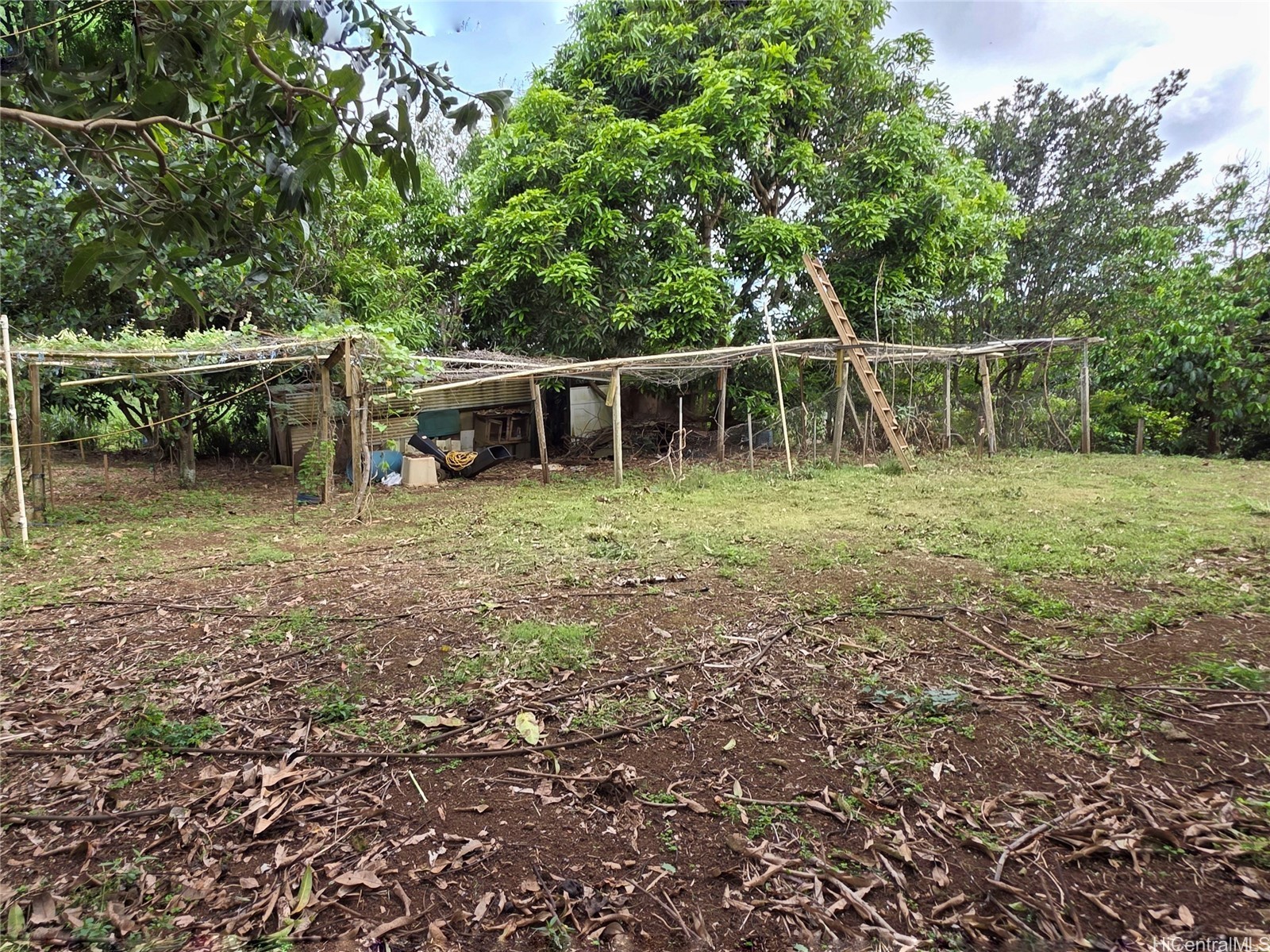 94-1100 Kunia Road 86f Property Photo 8