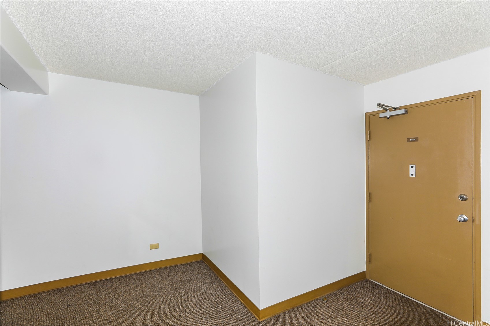 1624 Dole Street 603 Property Photo 2