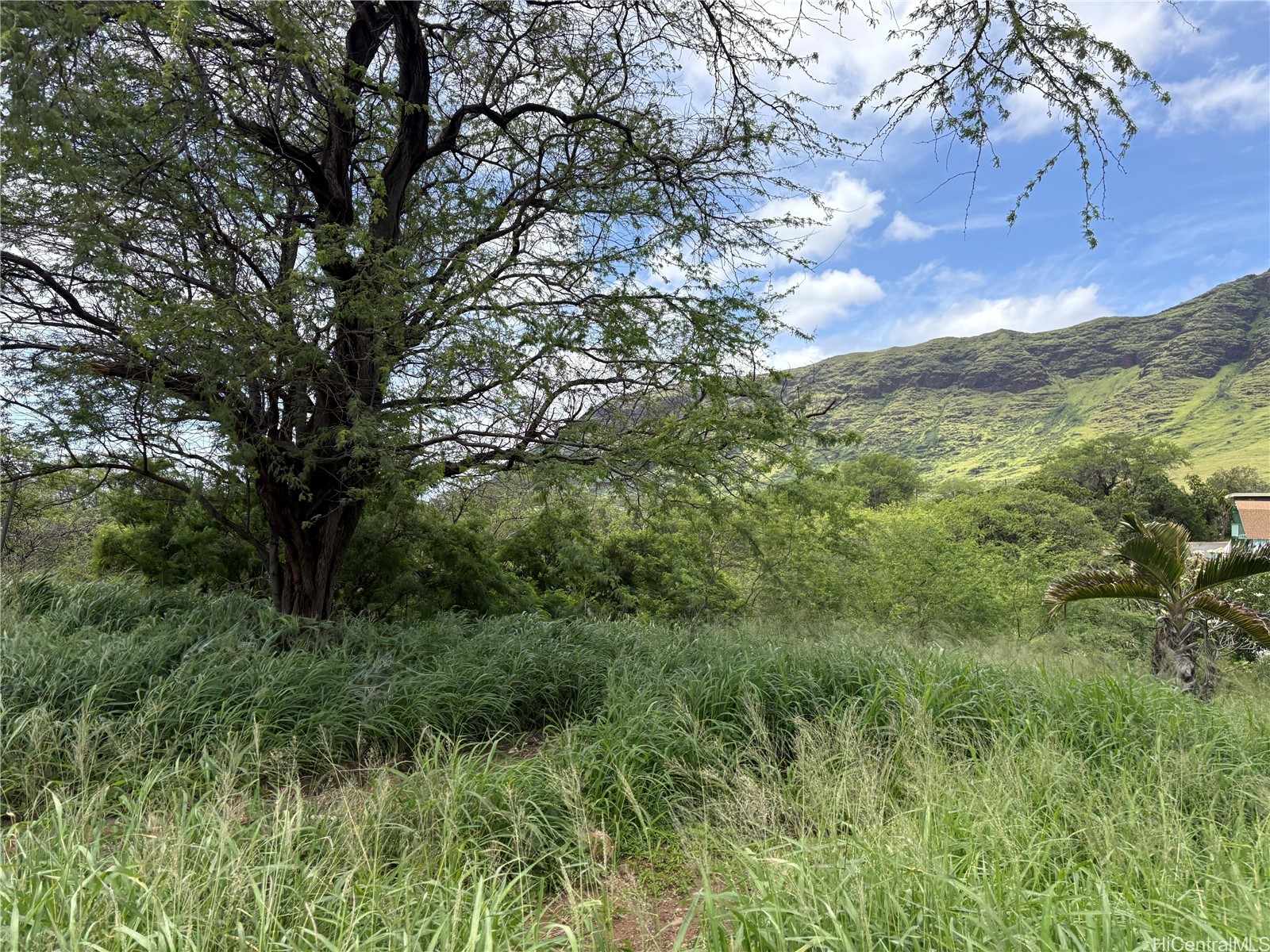 0 Waianae Valley Road Property Photo 1