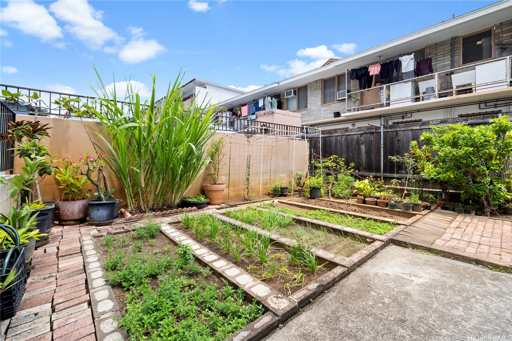 1122 Kinau Street 405 Property Photo 19