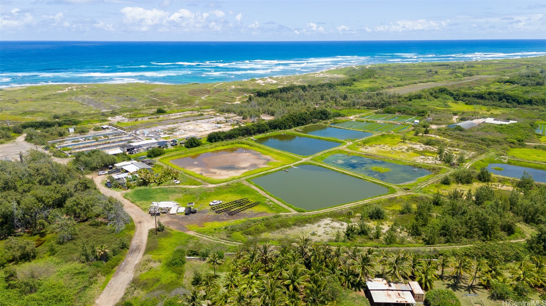56-1081 Kamehameha Highway Property Photo 7