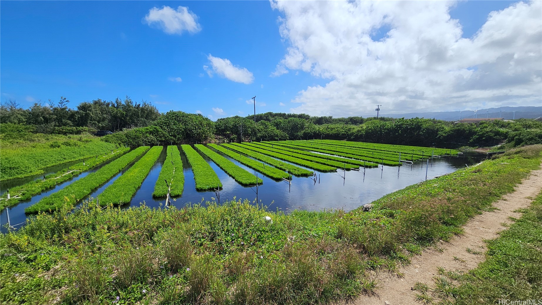 56-1081 Kamehameha Highway Property Photo 10