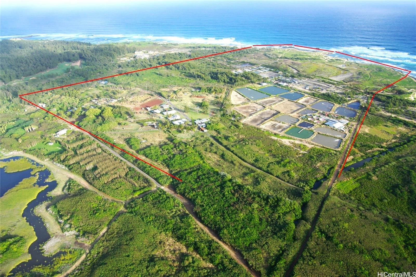 56-1081 Kamehameha Highway Property Photo 25