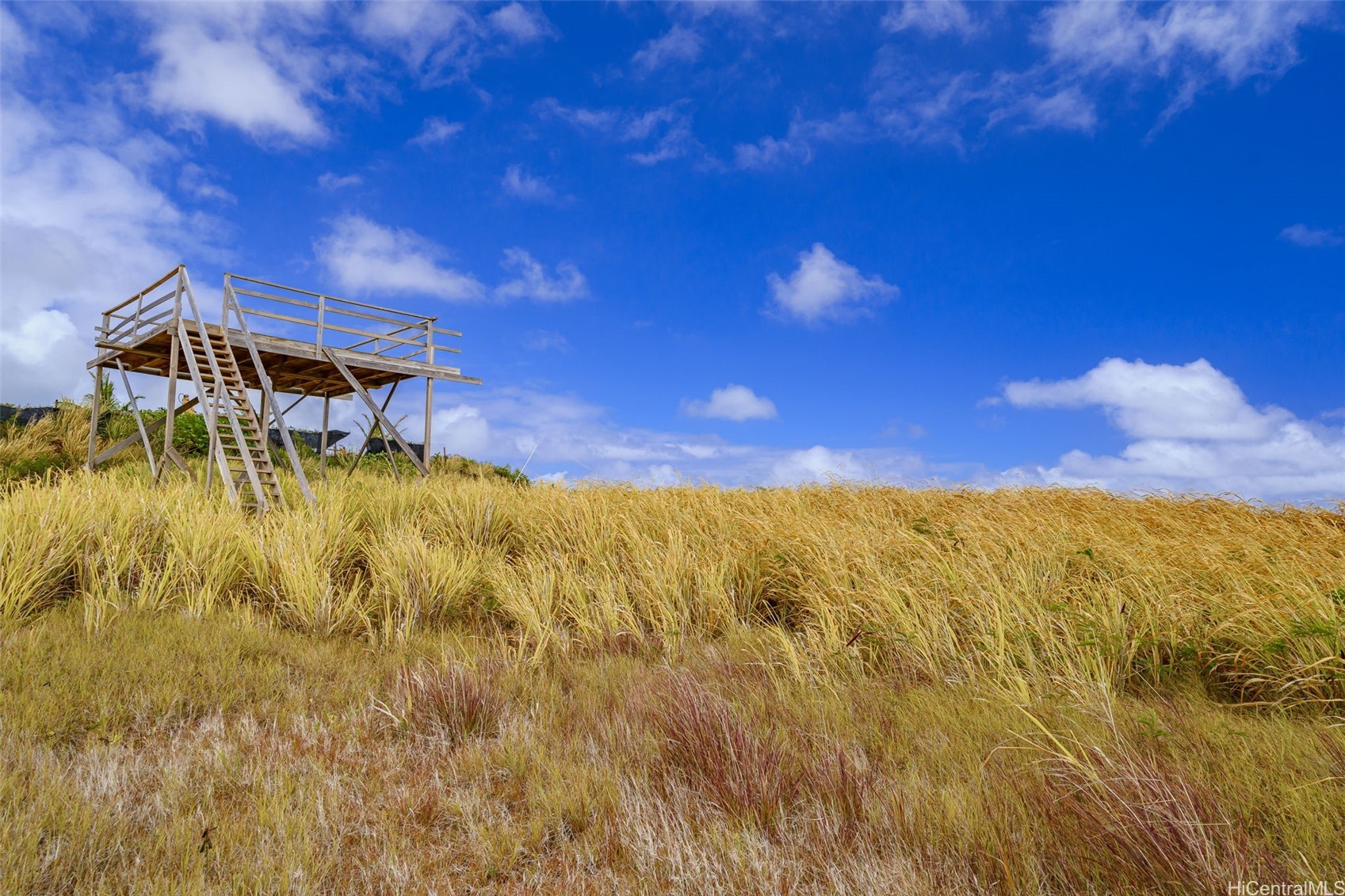 56-1080 Kamehameha Highway 2 Property Photo 6
