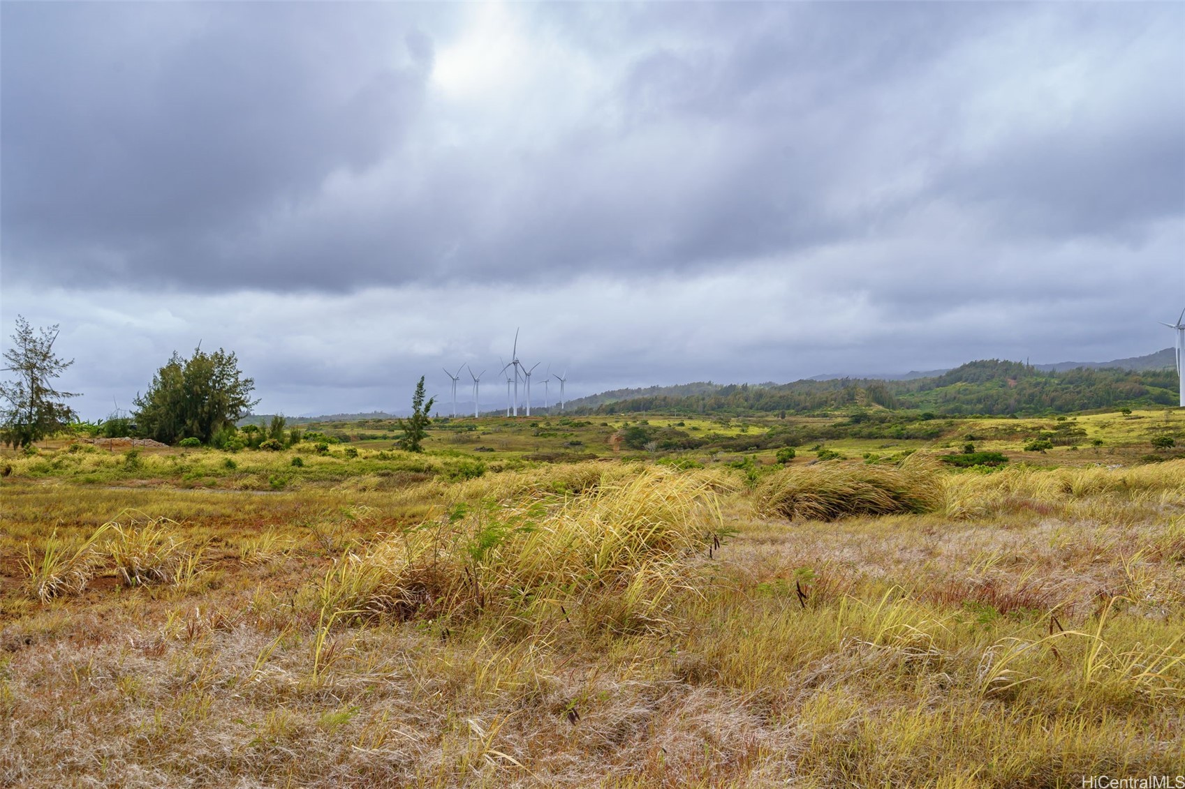 56-1080 Kamehameha Highway 2 Property Photo 7