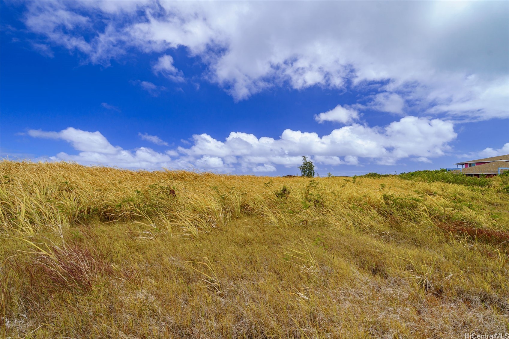56-1080 Kamehameha Highway 2 Property Photo 10