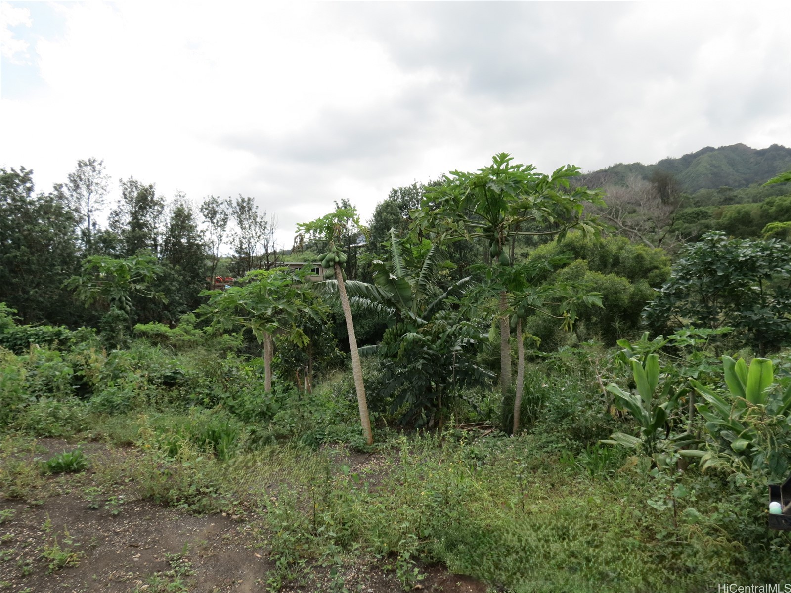 94-1100 Kunia Road 42f Property Photo 13