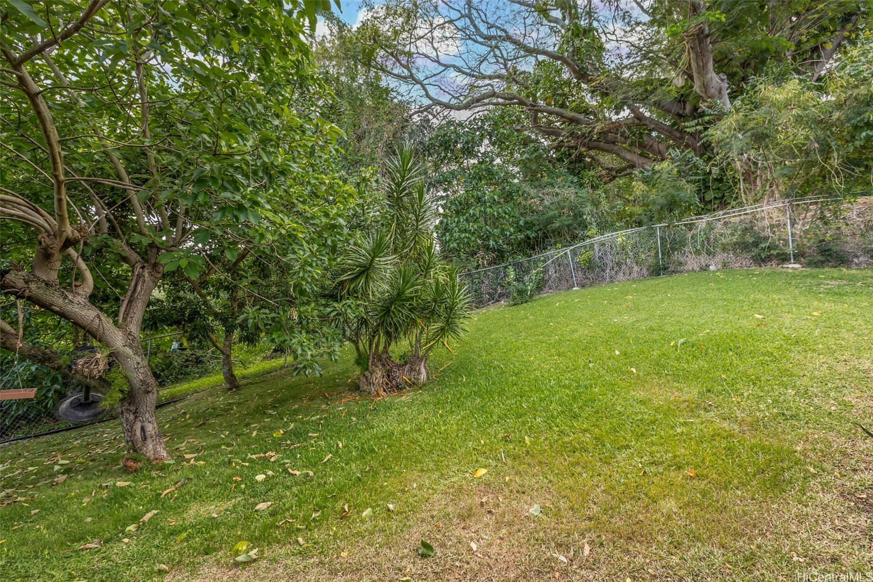 2168 Round Top Drive Property Photo 19