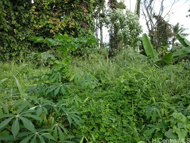 141 Manini Street Property Photo 2