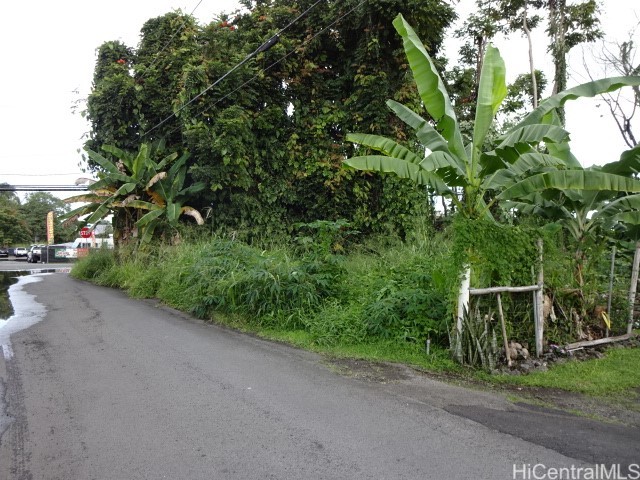 141 Manini Street Property Photo 4