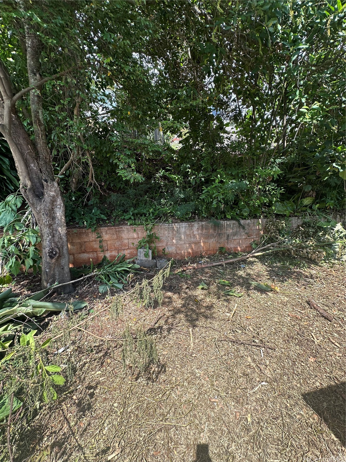 1630 Quincy Place Property Photo 9