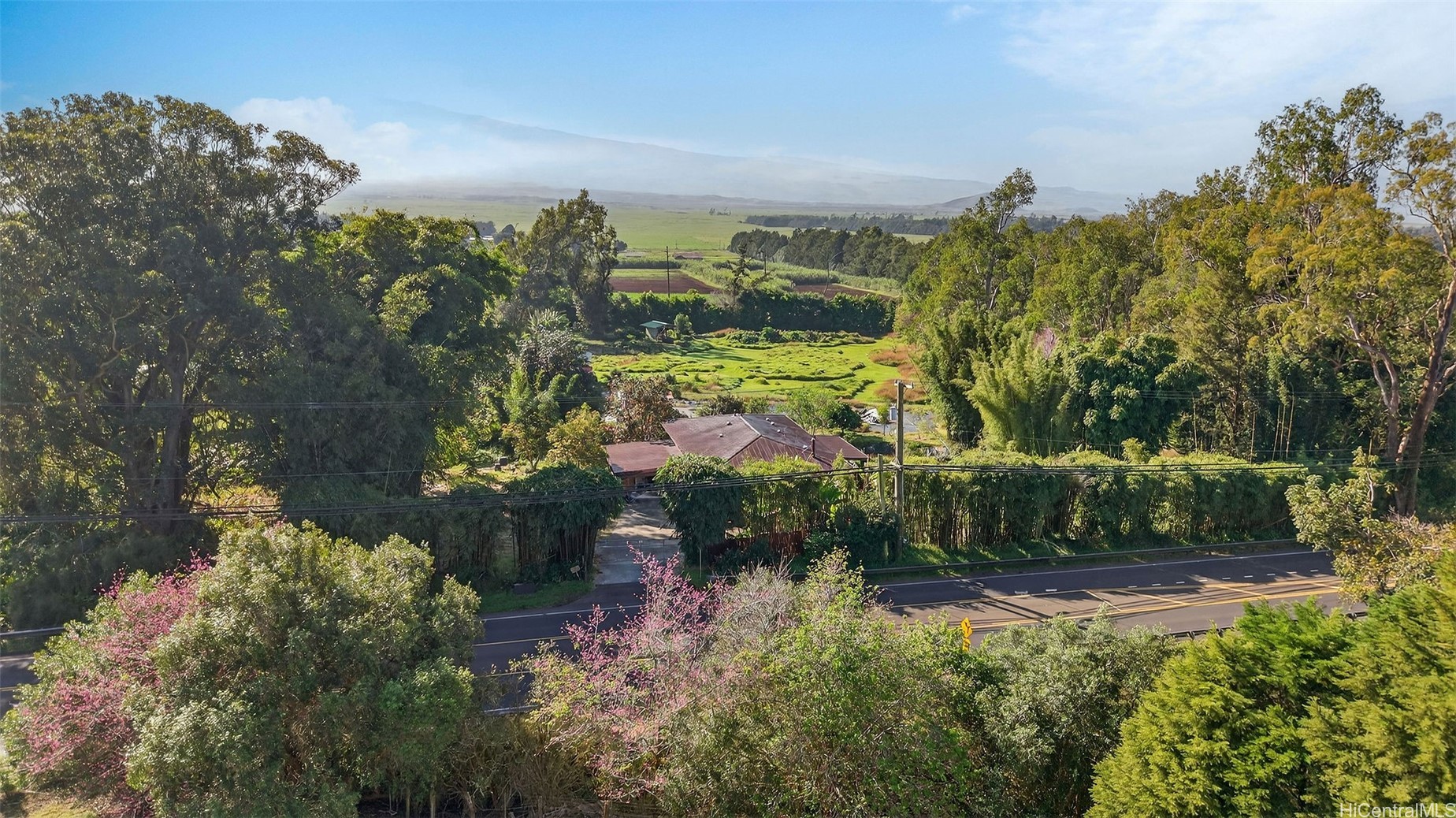 64-645 Mamalahoa Highway Property Photo 11