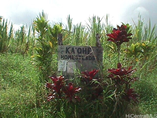 0000 North Road Property Photo 2