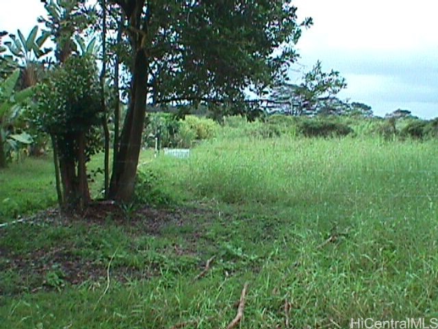 0000 North Road Property Photo 4