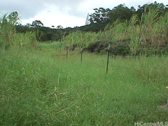0000 North Road Property Photo 5