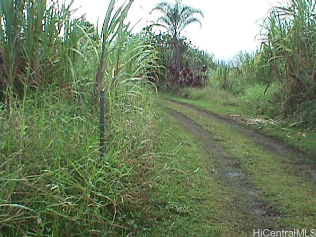 0000 North Road Property Photo 6