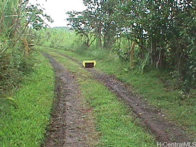 0000 North Road Property Photo 9