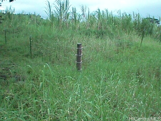 0000 North Road Property Photo 10
