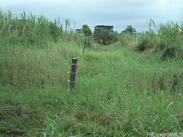 0000 North Road Property Photo 11
