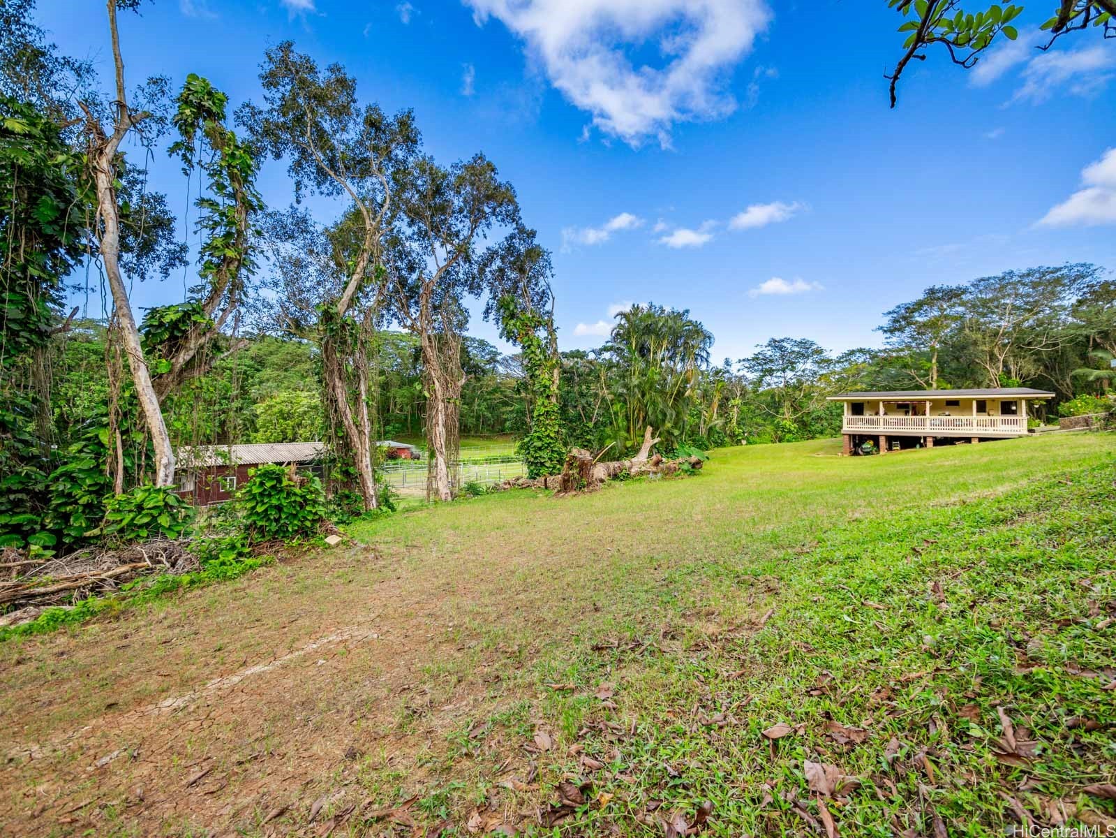 969 Auloa Road Property Photo 23