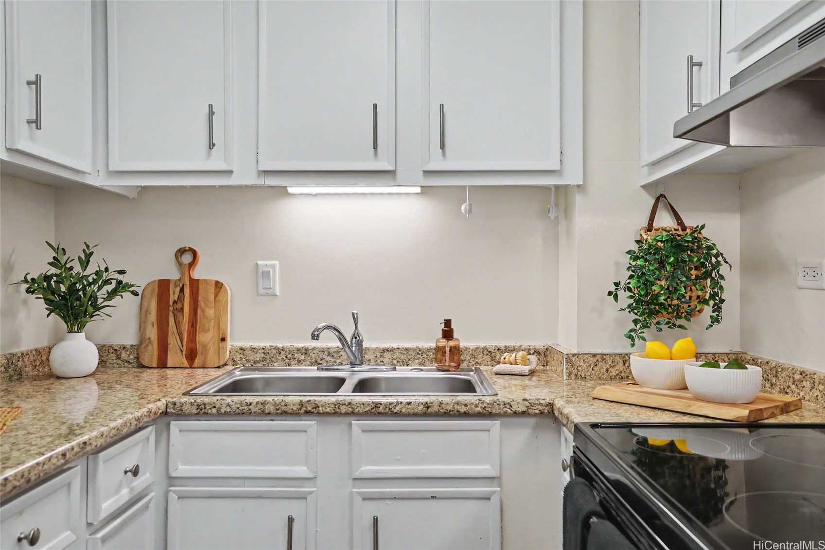1114 Wilder Avenue 503 Property Photo 5