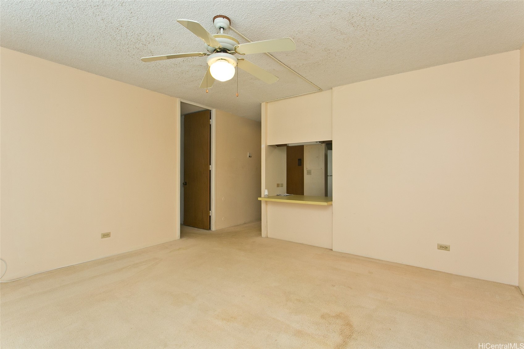 1114 Wilder Avenue 207 Property Photo 7