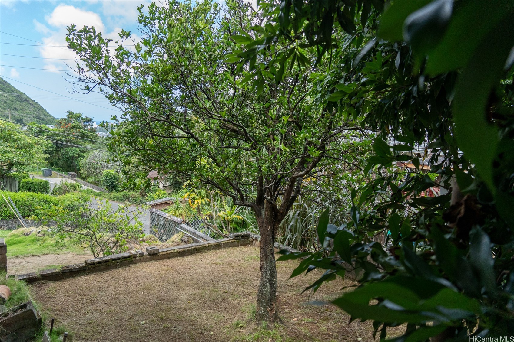 2521 Waiomao Road A Property Photo 6