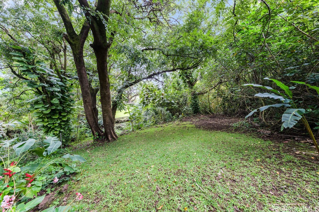 3242 Pelekane Drive Property Photo 4