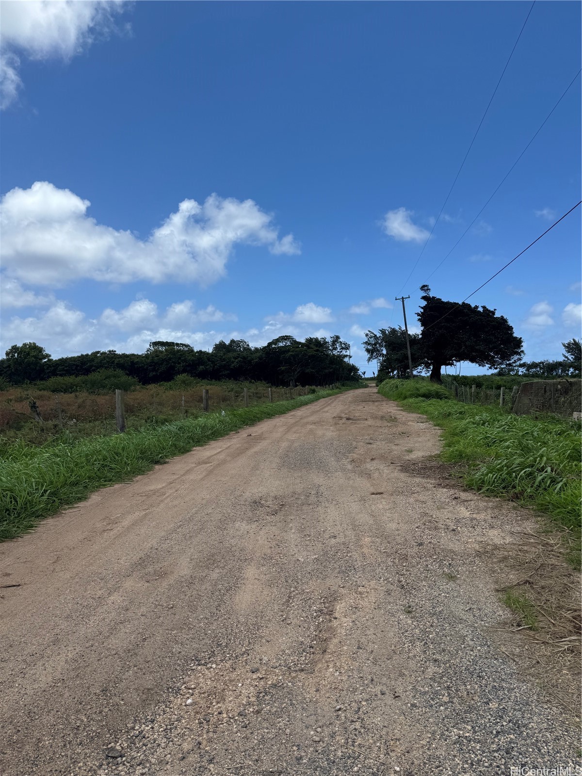 58 Kamehameha Highway Property Photo 1