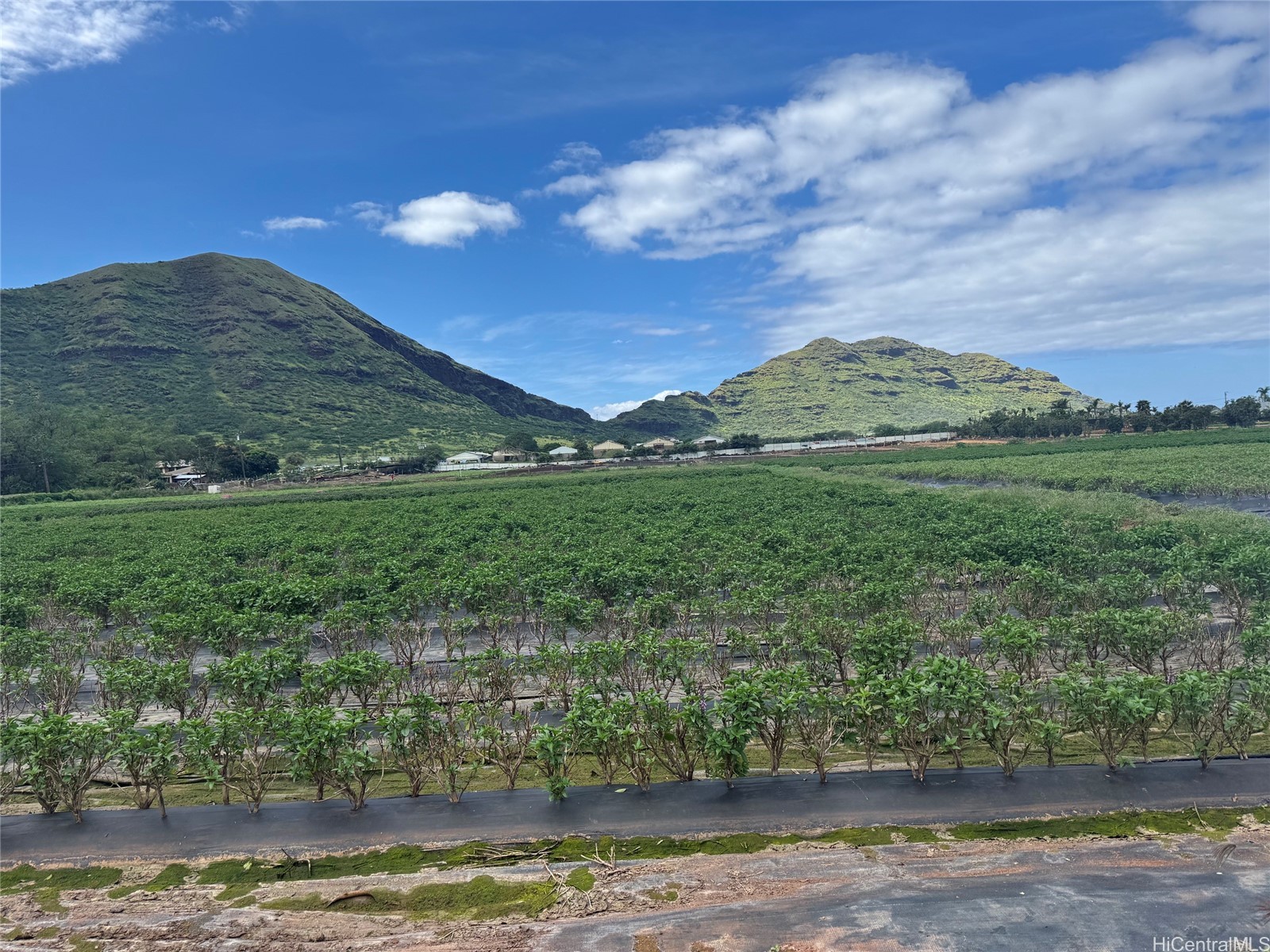 87-801 Iliili Road Property Photo 1