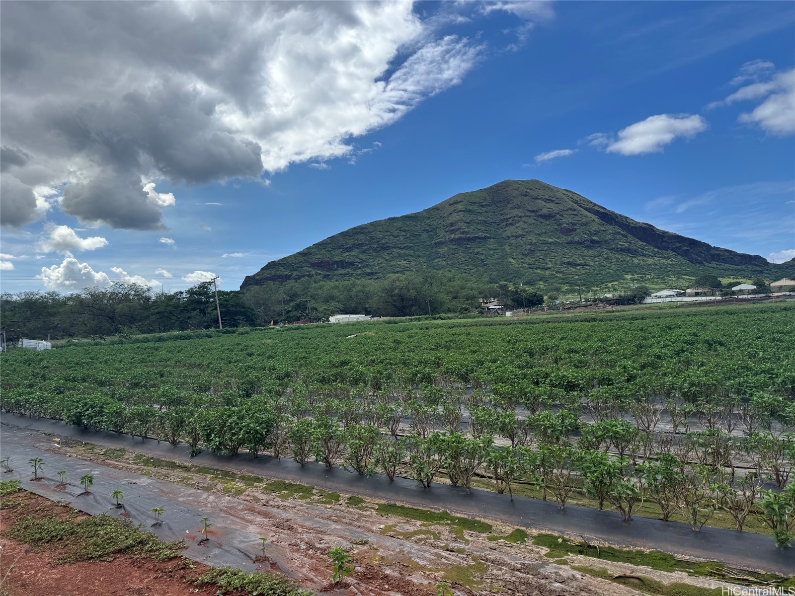 87-801 Iliili Road Property Photo 2