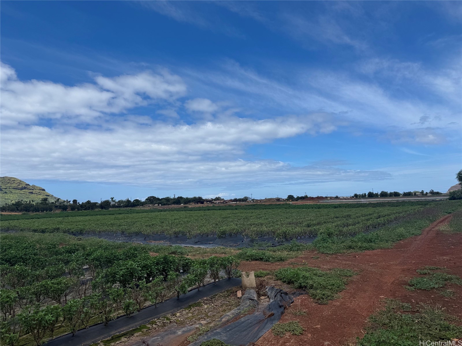 87-801 Iliili Road Property Photo 3