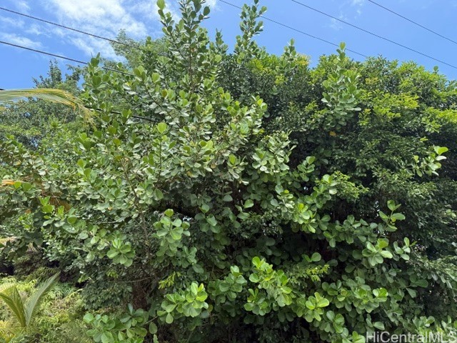 15-1611 Beach Road Property Photo 10